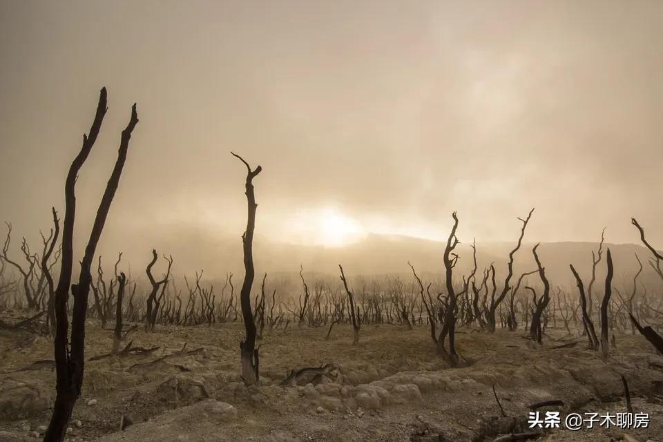 整顿校外培训机构背后的良苦用心,校外培训机构是否利好学区房