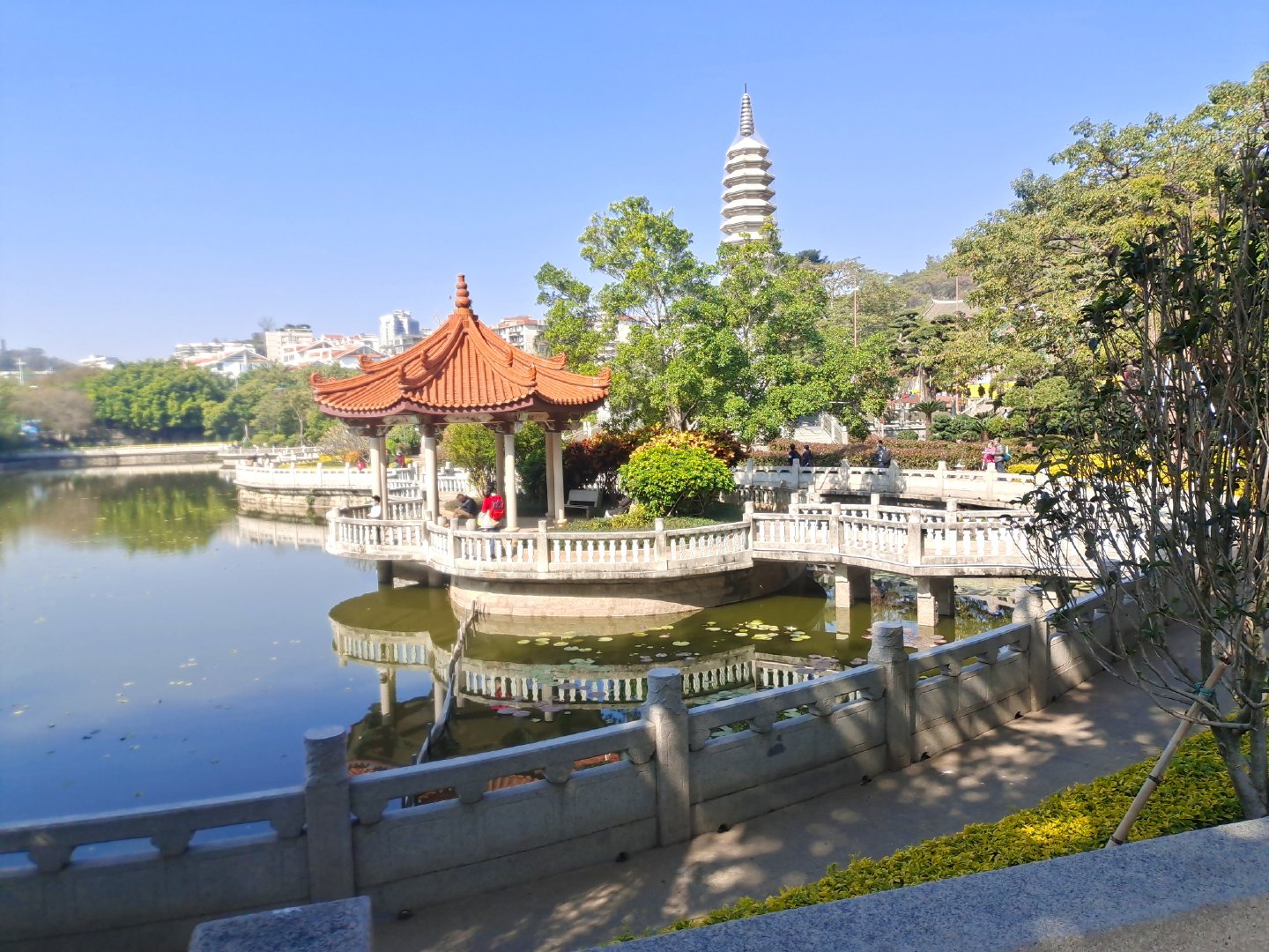 厦门不仅有美丽的风景还有好吃的,厦门旅游美食美景照片