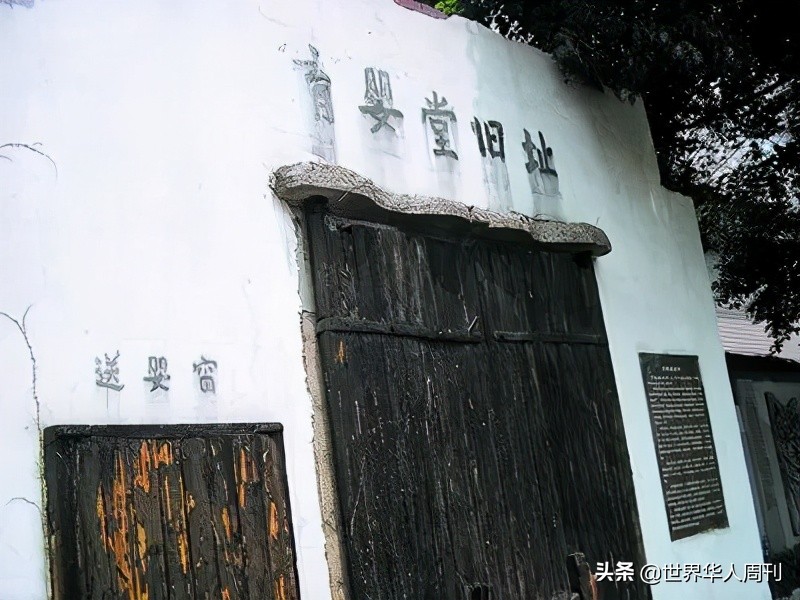 弃婴之死真相,弃婴抚养28年真相