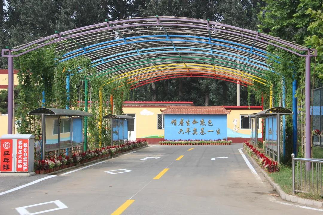 最美校园获奖照片,喜报学校荣获全面优胜单位