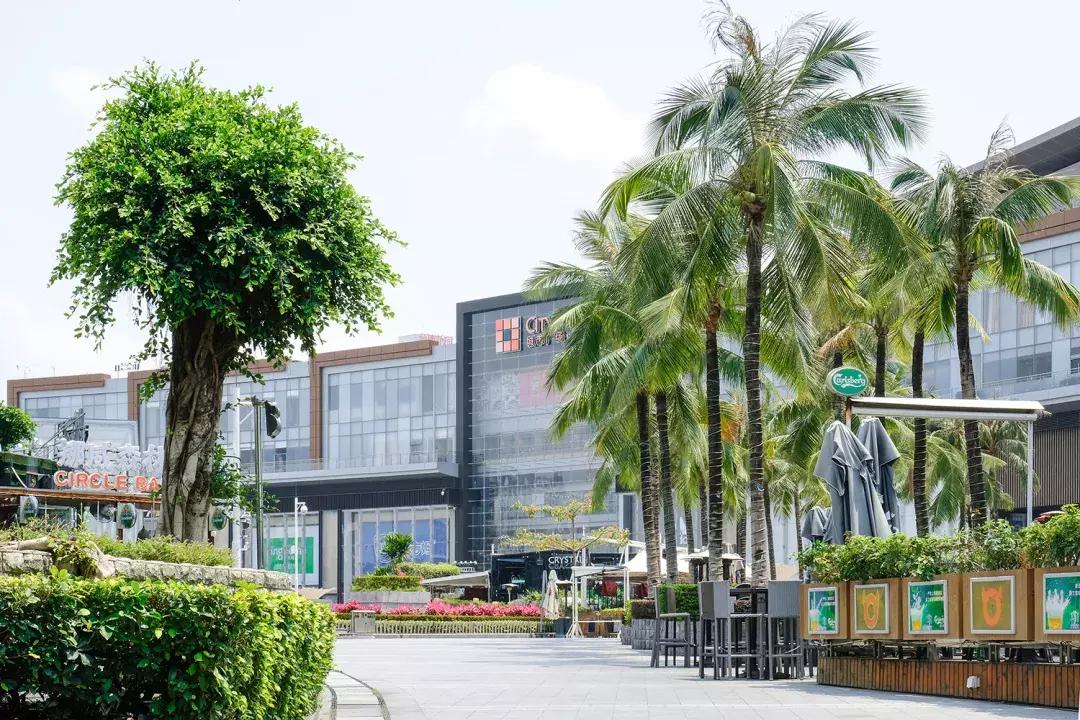 福田大地的变化,福田中心区变化