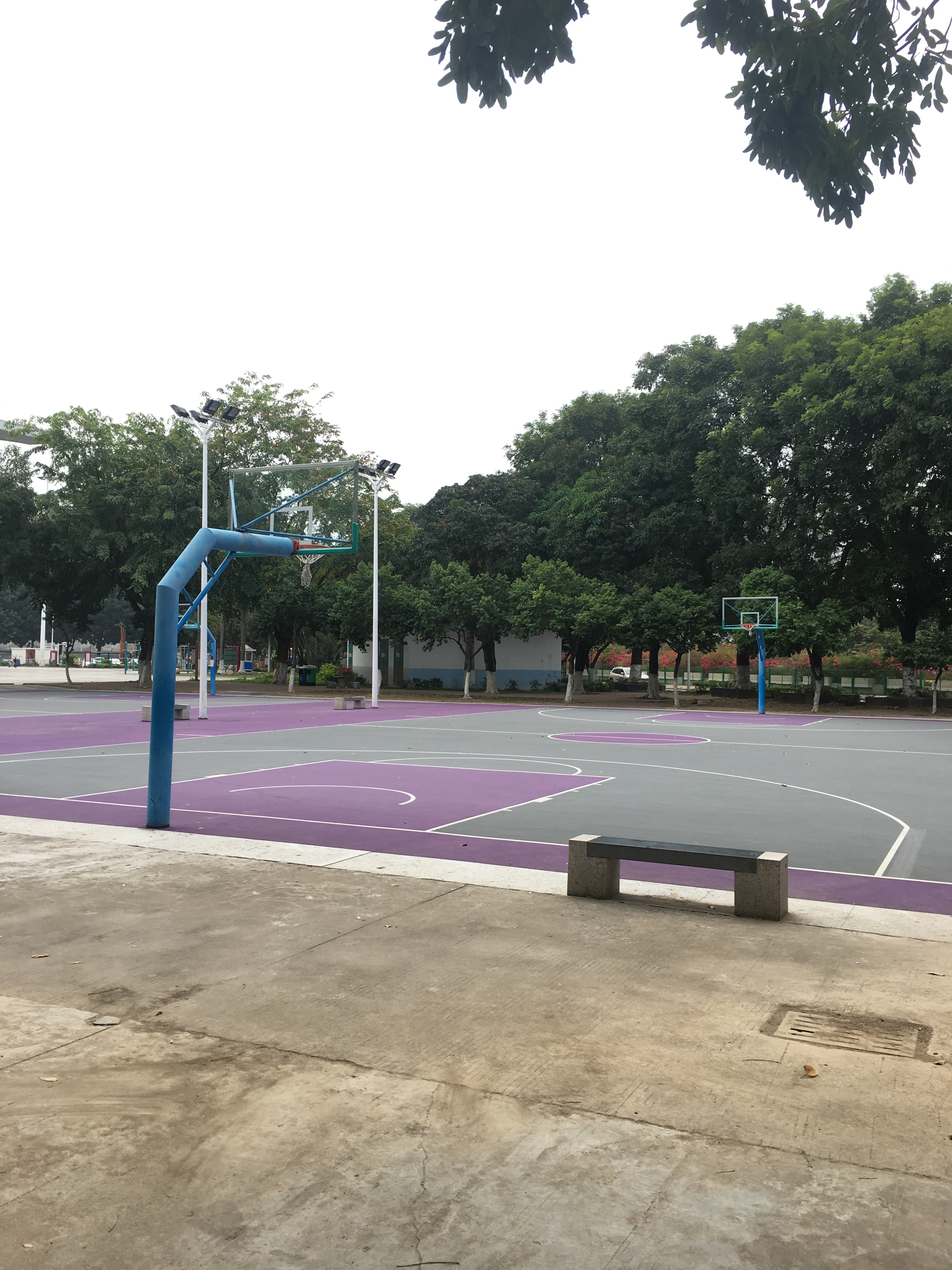 东莞凤岗现在怎么样了,凤岗村现状