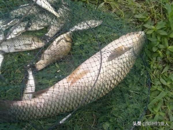 钓鱼的技巧之野钓视频,冬季钓鱼视频野钓看漂技巧