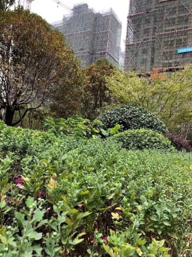 岳阳中建嘉和城可以装推窗吗,岳阳中建嘉和城周边规划