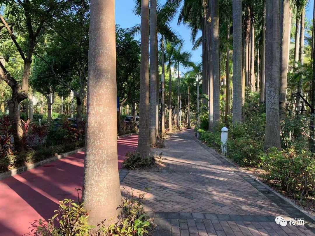 深圳华侨城的历史,深圳华侨城变迁史