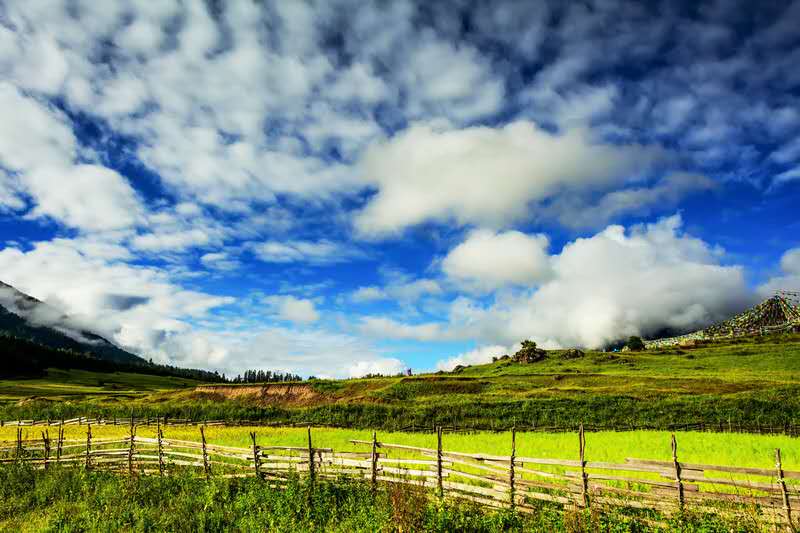 不要去隐藏缺点,不要刻意隐藏