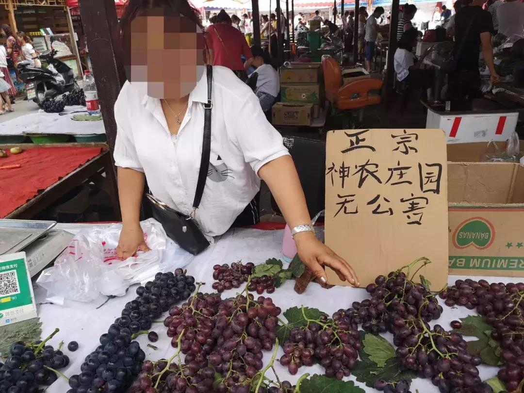 韩城市芝川镇神农葡萄庄园,韩城神农庄园葡萄酒电话