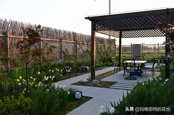 上海洋水仙,上海璞素上居民宿抖音团购