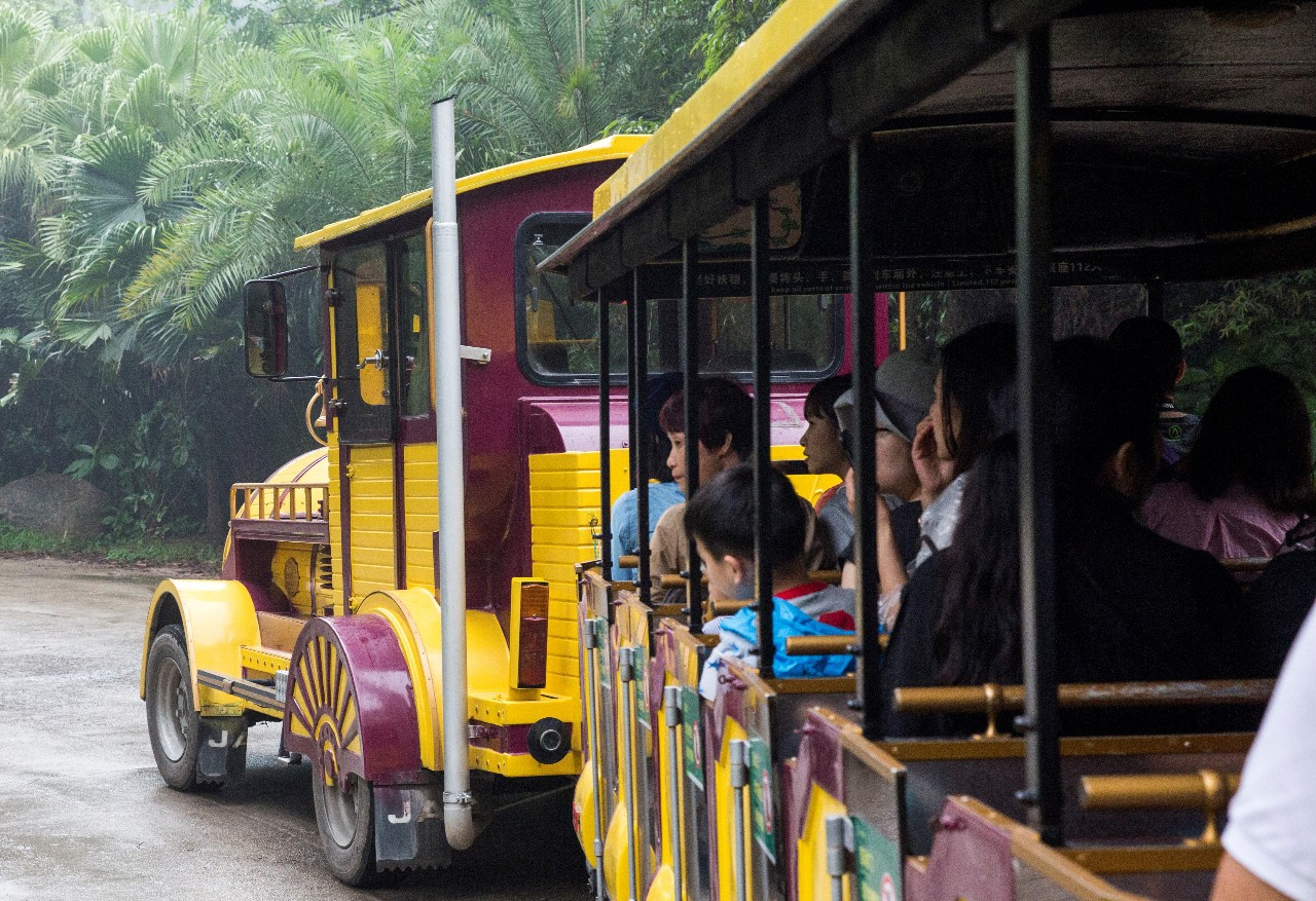 带孩子去长隆旅行攻略,长隆旅游攻略亲子游省钱攻略