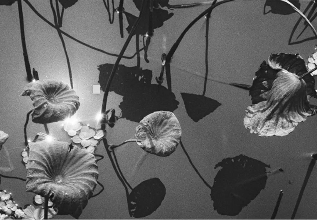 学摄影从零开始学,学摄影的经验