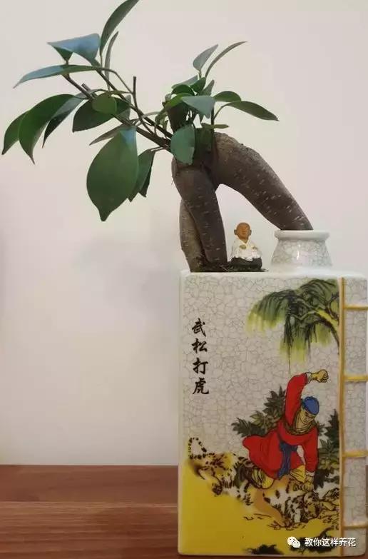 切割陶瓷酒瓶做花盆最简单的方法,没有工具怎么把陶瓷酒瓶弄成花盆