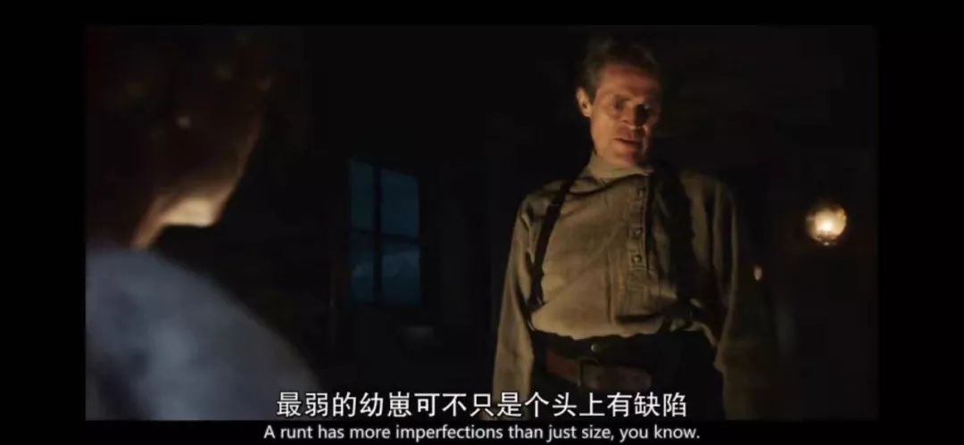 可怕的恶犬电影,伤害小狗电影