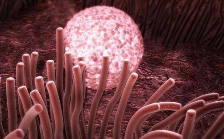 怀孕1到9个月的过程图片,孕早期辛苦了的图片