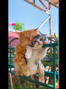 捡到了u盘里面会有什么,捡到一个u盘还好没有用