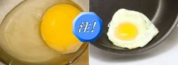 对猫有毒的植物气味也不能闻吗,对猫有毒的食物