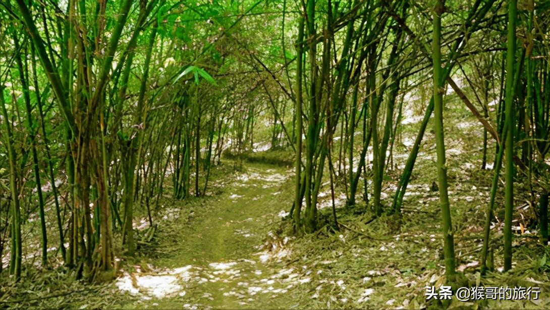 这才是海南最美的乡村,海南桃花源
