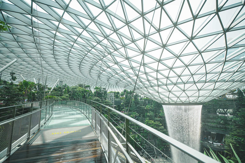 一人一猫环游,一人一猫旅行