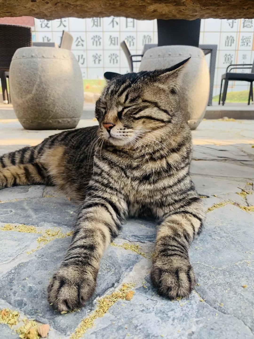 大家期盼的真实事件,掉缸事件怎么处理