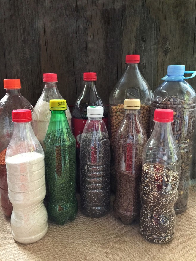 大米有黑色小虫子是什么虫子,大米里面有黑色小虫子哪里来