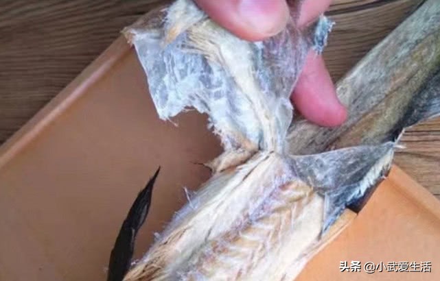 东北人吃的海鲫鱼,东北人喜欢吃的海鲜菜