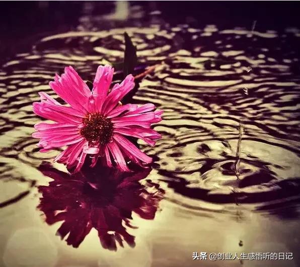 100科小常识你知道多少？很难找到的！存下吧，早晚有人问你