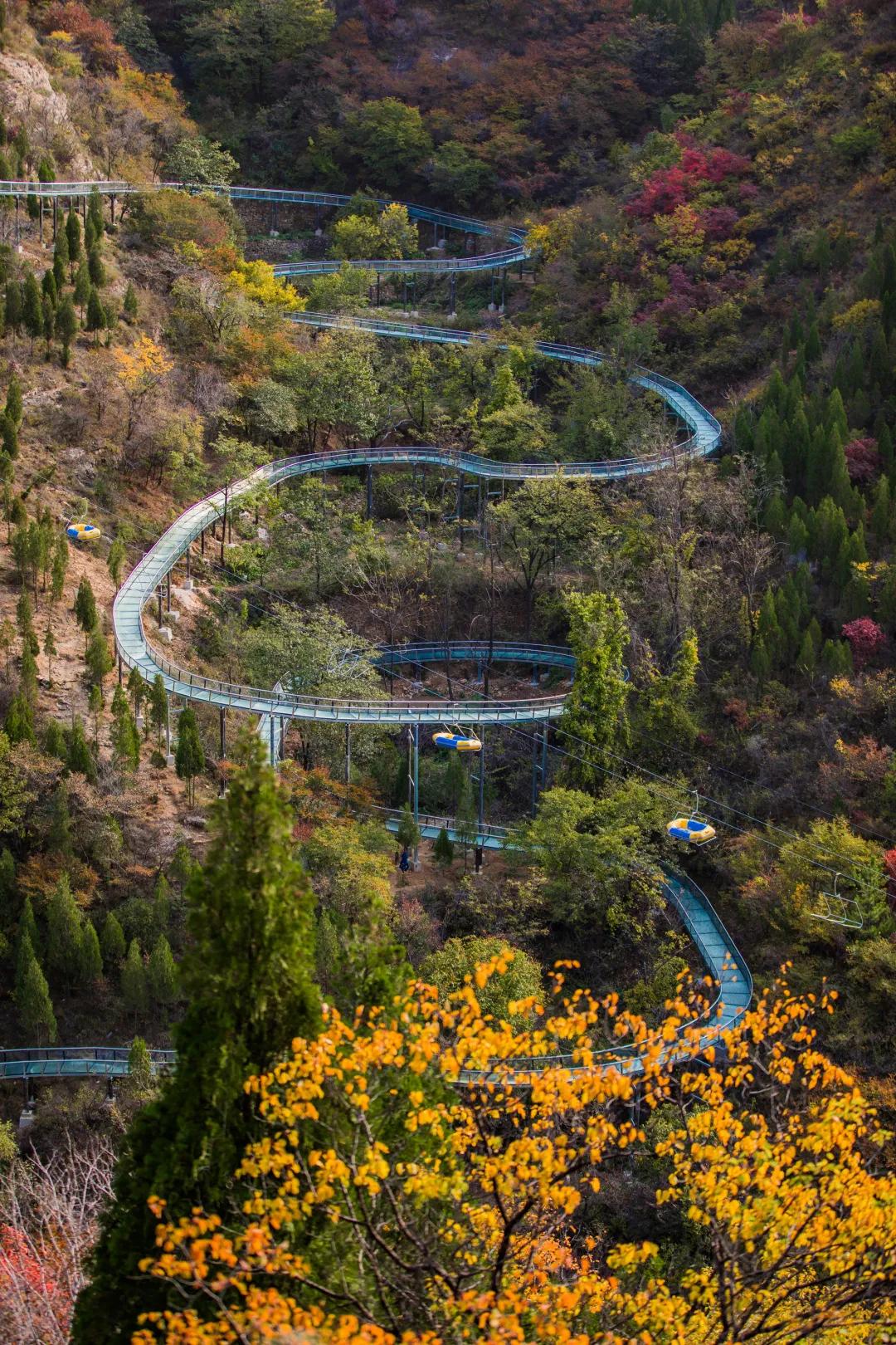 淄博国庆节放假安排,淄博十一月份有什么活动