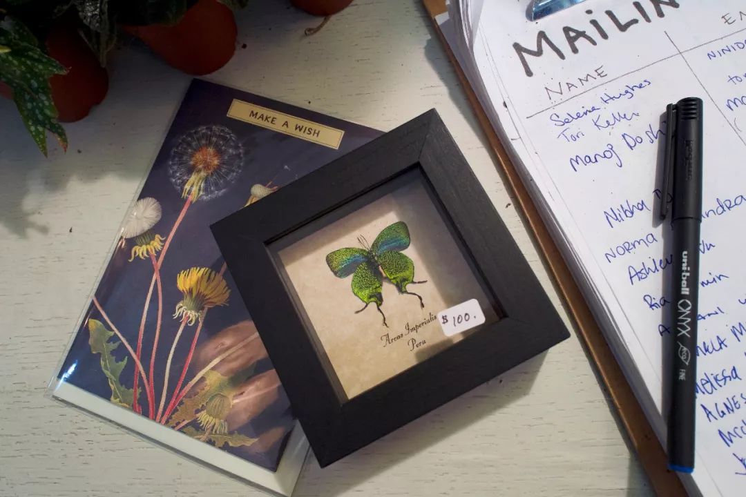 擎怀|于美利坚告别“6”的罗曼蒂克