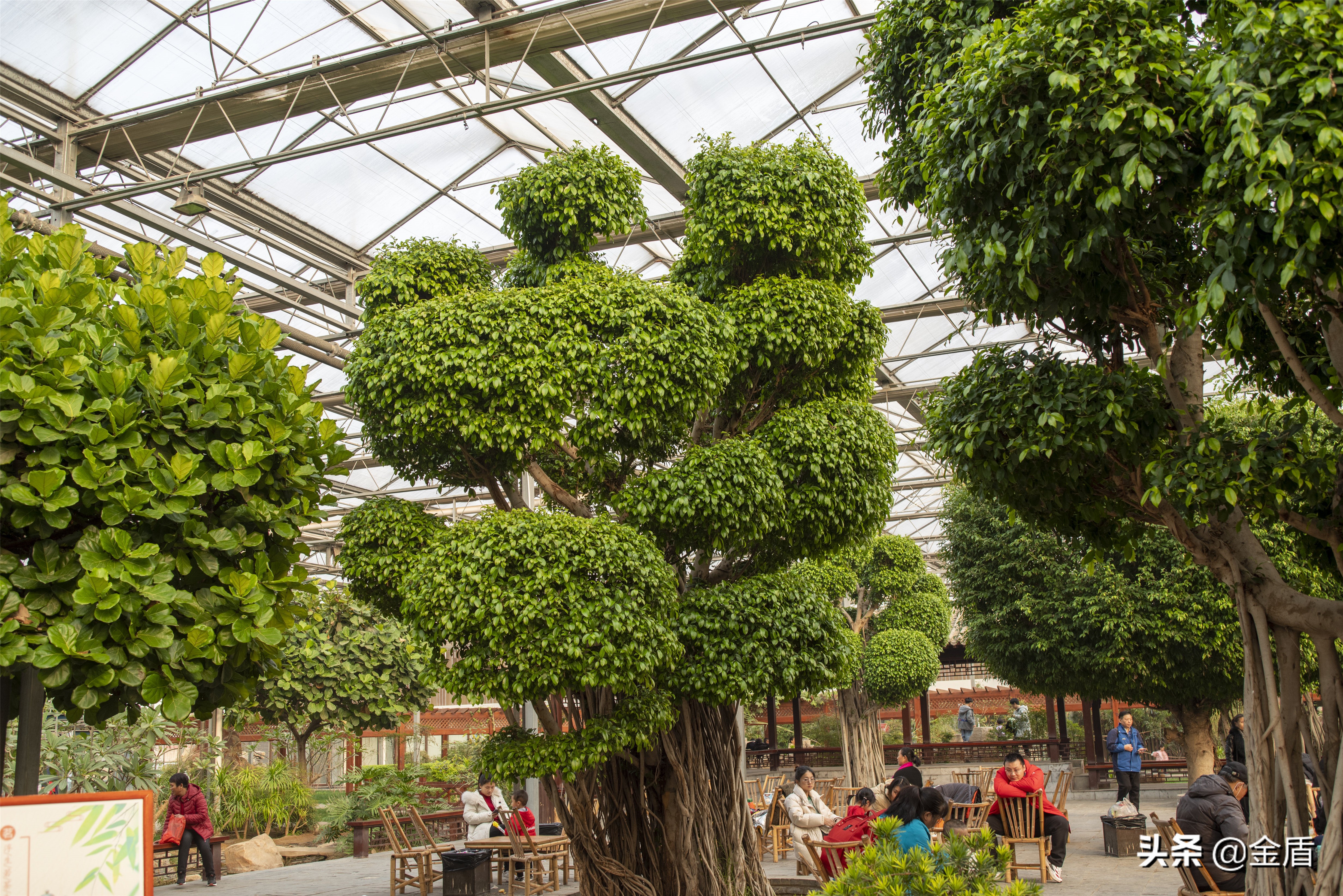 九天休闲谷好玩吗,九天休闲谷冬天开吗