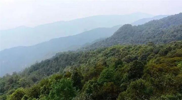 勐库十八寨茶区图,勐库茶十八寨排名