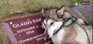 谢谢你治好了我的心脏,谢谢你治好了我的低血压