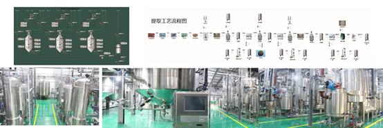 延安必康药品,药品上市许可持有