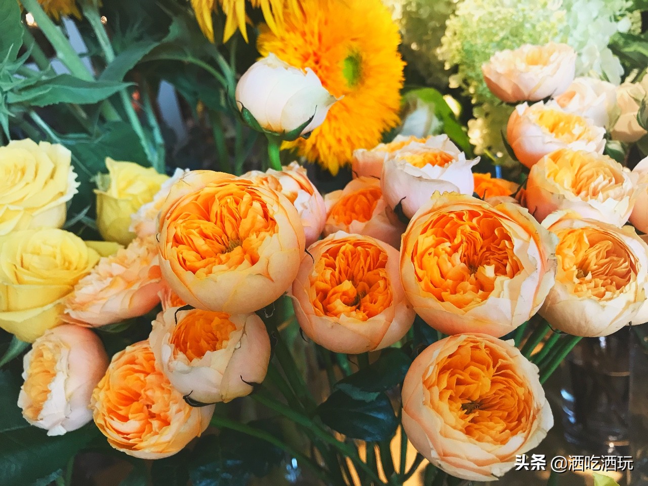 北京推荐的平价餐厅,京城必去的餐厅