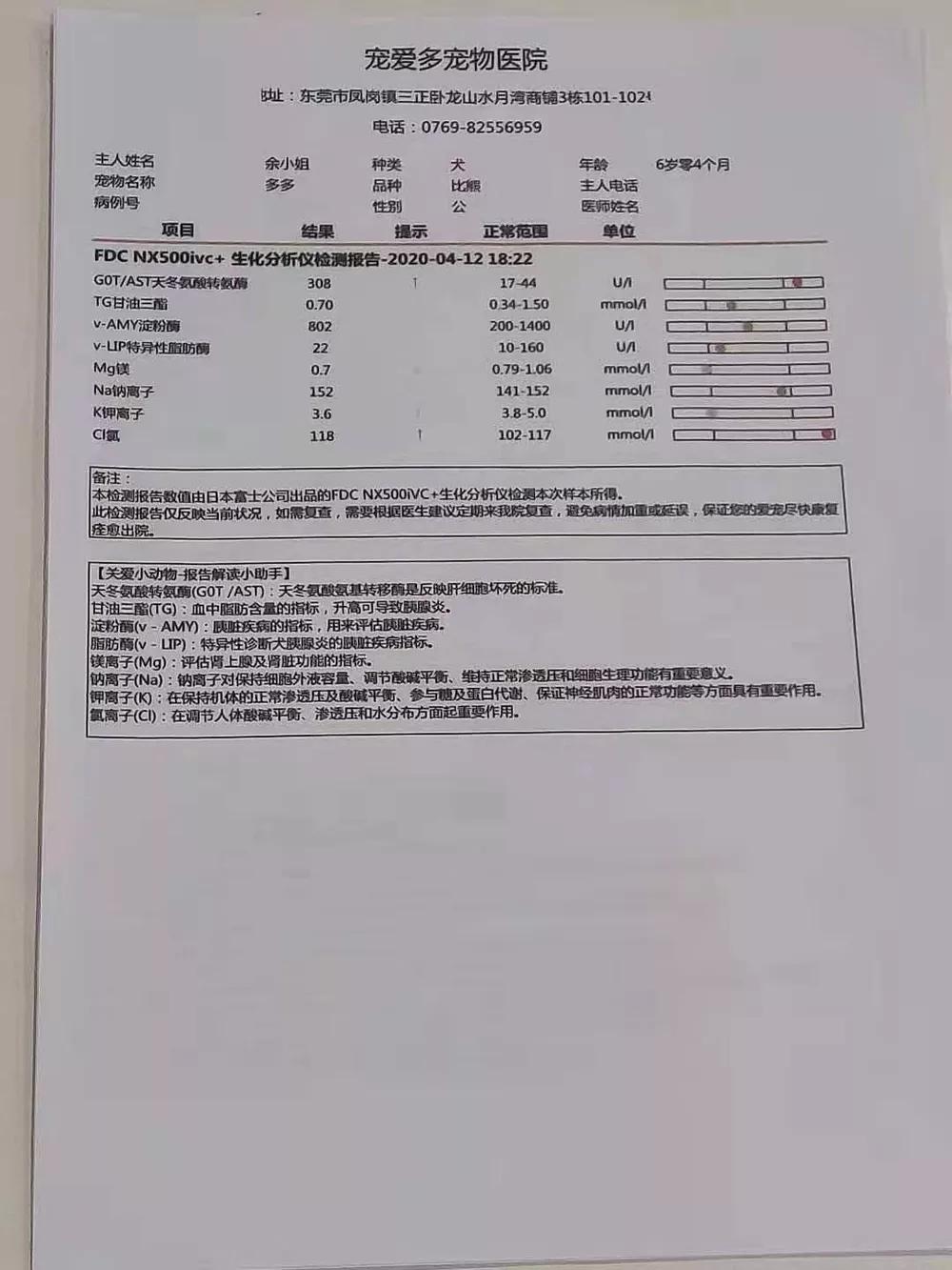 拜耳宠物消毒剂,拜耳杀虫剂灭跳蚤怎么样