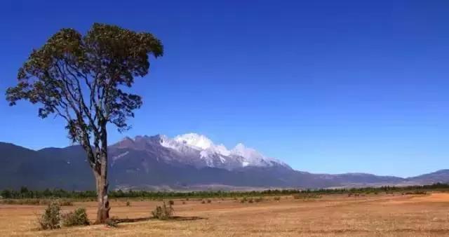 云南丽江旅游攻略自由行路线,昆明大理丽江西双版纳自由行攻略