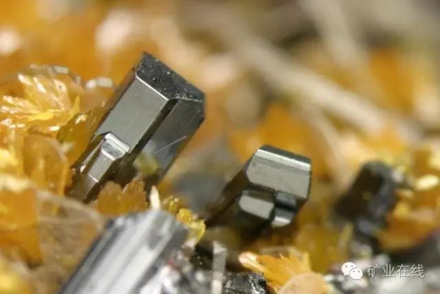 常见的矿物岩石有哪些,4种最常见于岩石里的矿物