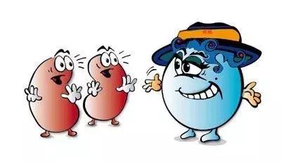 尿液呈红色就是血尿呢？真正的血尿要这样来区分