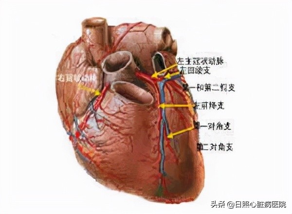 冠状动脉瘘能活多久,冠状动脉瘘彩超表现