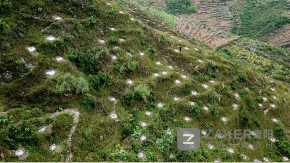 贵州脱贫攻坚五大产业,脱贫攻坚贵州