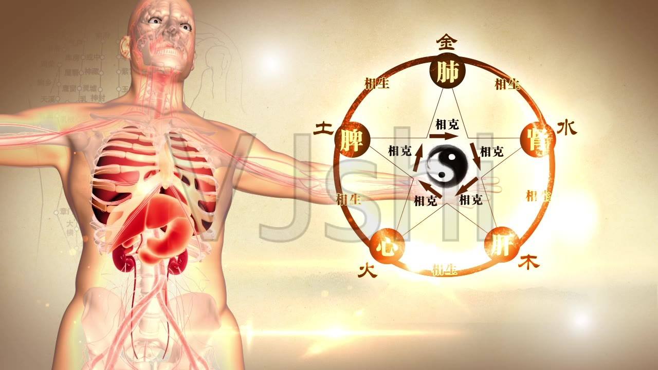 一张图看懂中西药服用,中西药一般是饭前还是饭后吃