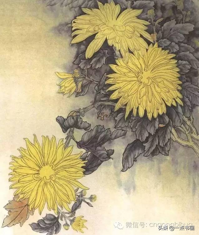 工笔画菊花入门教程步骤图,黄色工笔菊花的上色过程