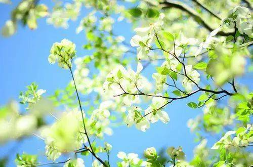 健身朋友圈简短走心的句子,生气说说简短走心的朋友圈