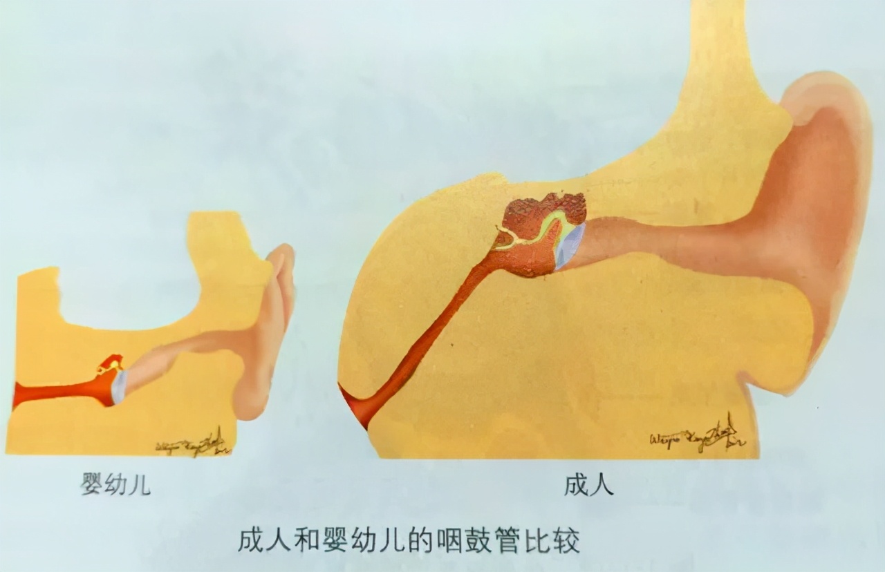 感冒耳朵堵塞快速解决方法,感冒引起鼻炎耳朵堵塞是什么原因