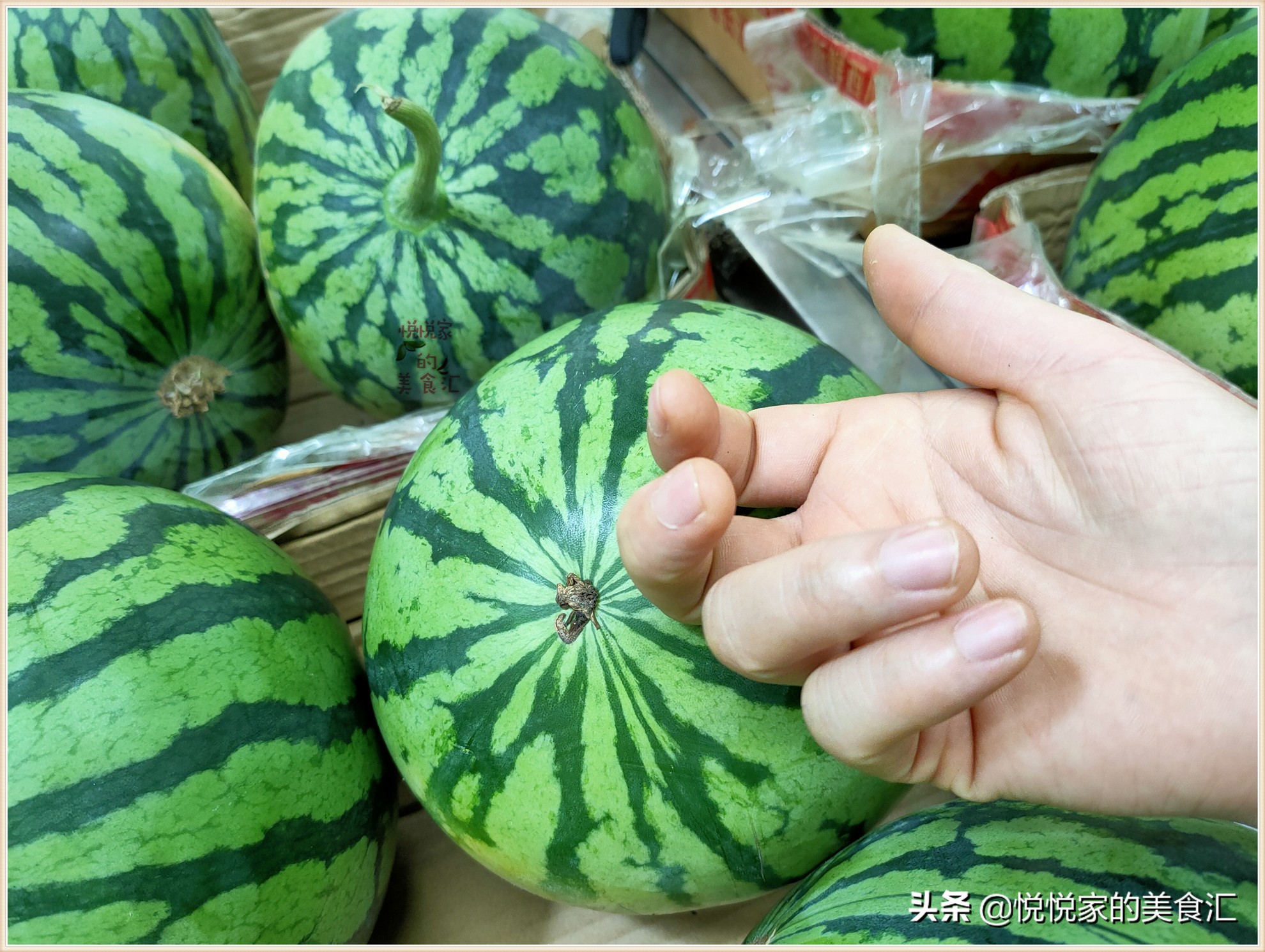 怎么挑西瓜才能不挑到生瓜,美都西瓜生瓜熟瓜怎么辨认