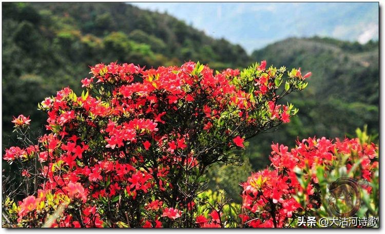 致敬中国英烈诗词,纪念先辈缅怀英烈的诗句