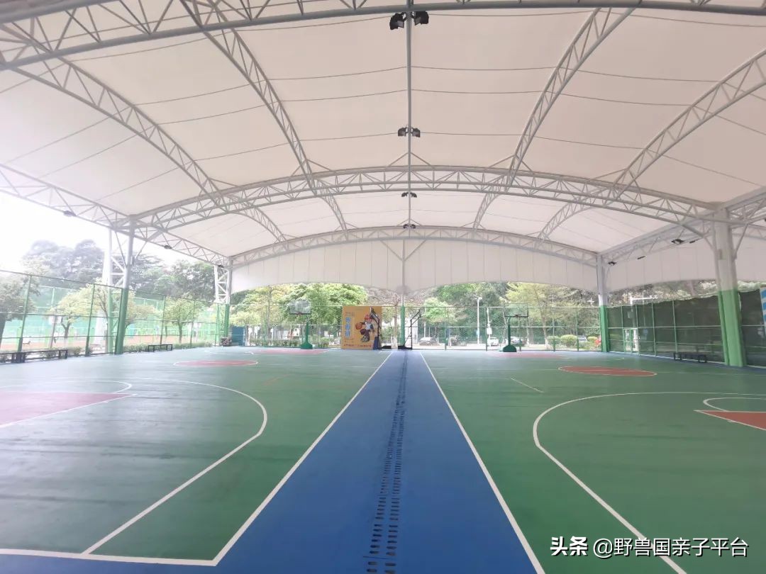 少儿篮球运动哪家好,权威少儿篮球兴趣班机构排名