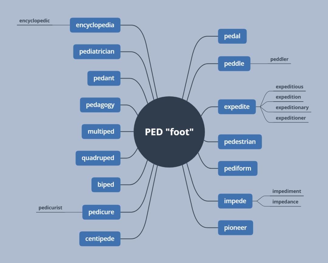 璇嶆牴cust,璇嶆牴chain