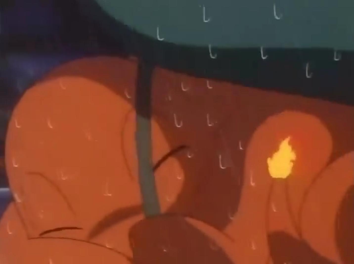 精灵宝可梦2024年最新动画,24年会出新的精灵宝可梦动画片