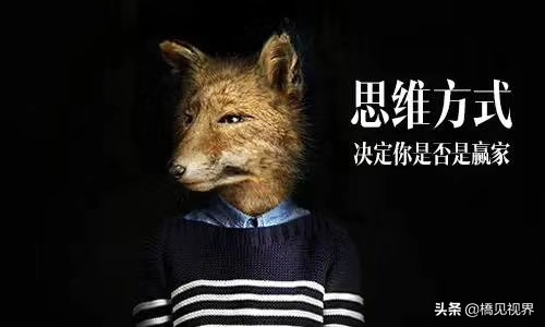 招商代理加盟犯法吗,品牌代理商怎么运营