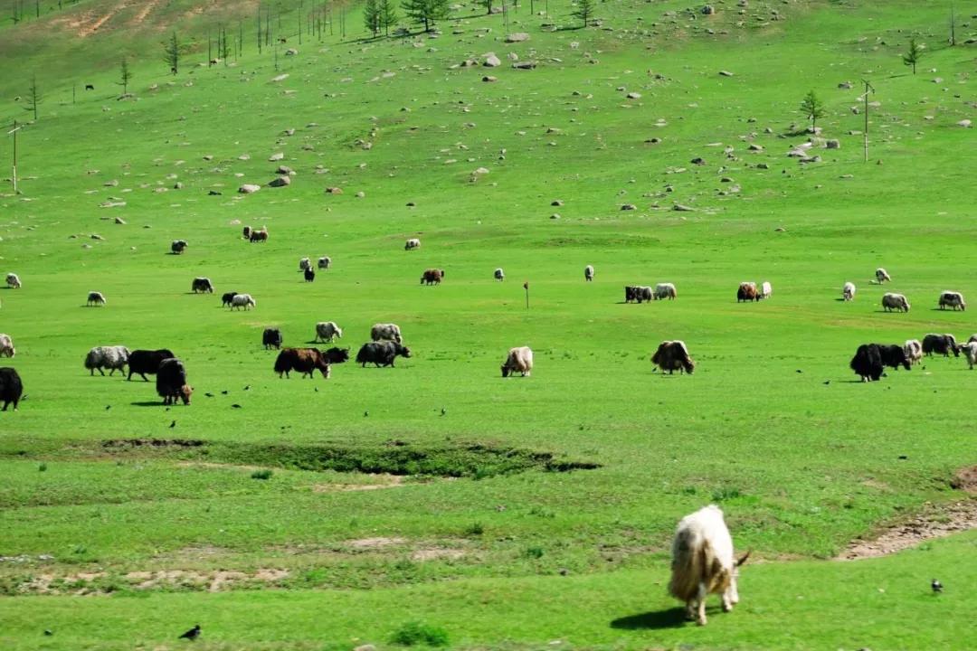 坐火车就能去这6个国家，车票最低200块！