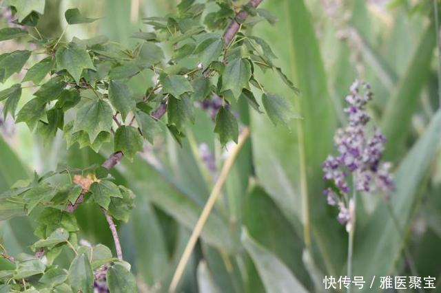 男人的难言之隐，治疗时却往往误入歧途，帮你少走弯路的妙招